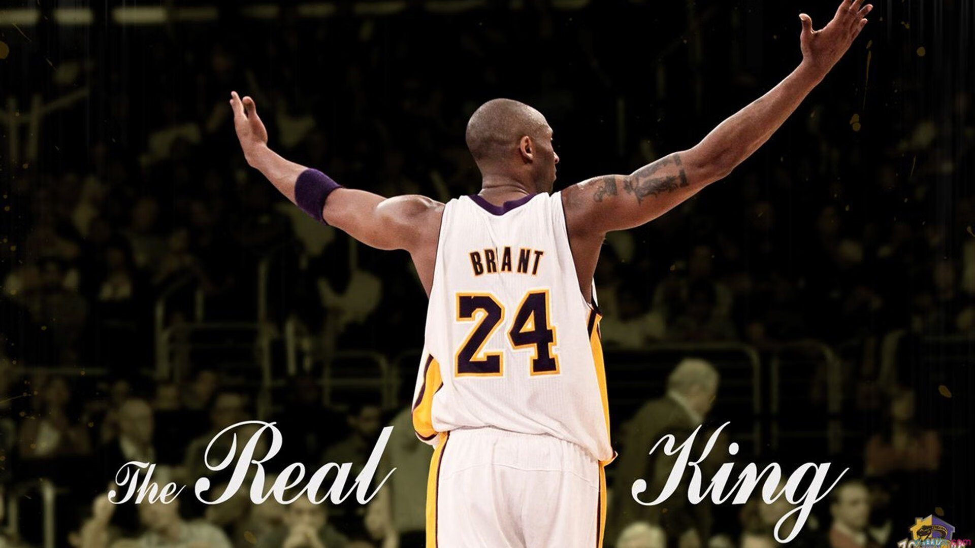 篮网带队取胜!,德罗巴重要时刻战术调整全场沸腾不已